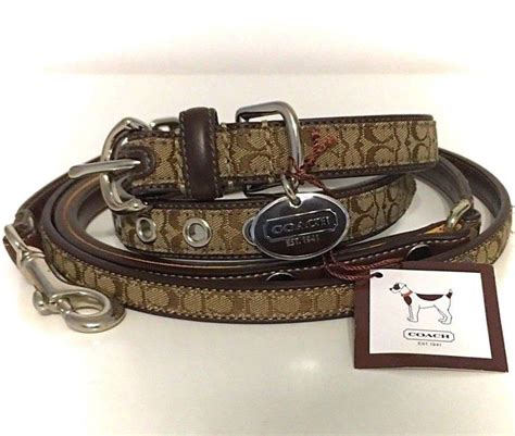 coach dog collar and leash